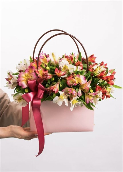 Альстромерия МИКС в сумочке Мастхэв ( 15шт) 55500550500 - фото 635650