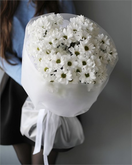 Белая хризантема ромашка в пленке(7шт) 2343222222 - фото 635689