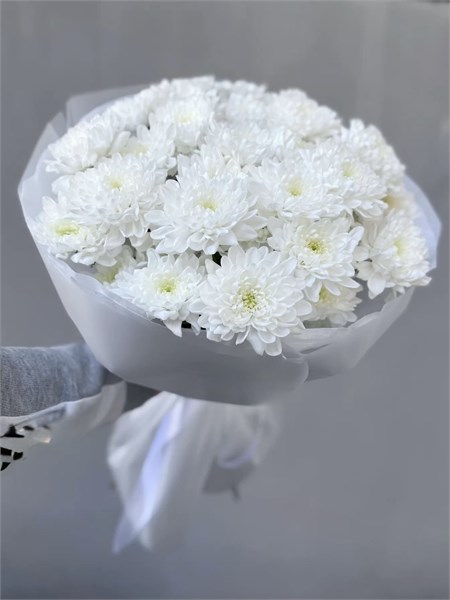 Белая пушистая хризантема в пленке (7шт) 090909090 - фото 635690