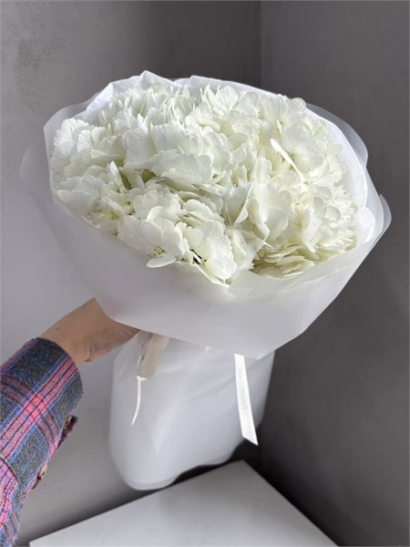 Белые гортензии в упаковке "Туман" (5шт) 4545454556 - фото 635780