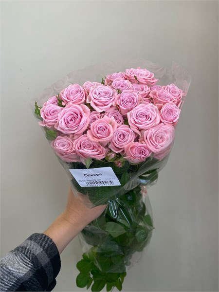 Кустовые розы Одилия (пачка 10шт) 999857746 - фото 635809