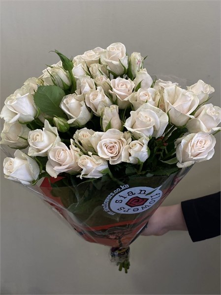 Кустовые розы Роял Порселина (пачка 10шт) 7788665544 - фото 635821