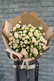 Крем Грация куст 21 шт 149334