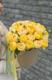 ШЛ.кор. М Каталина 149259