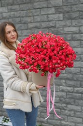 ШЛ.кор. L Черри Хеопс 149263