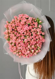 51 кустовая роза Одилия 405