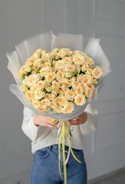 Салинеро куст 21 шт 425