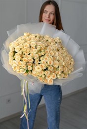 Салинеро куст 51 шт 426