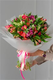 25 альстромерий микс в упаковке 527