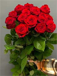 Красные розы 60см (пачка 10шт) 45468797