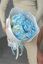 Букет из голубых гортензий (3шт) 5012