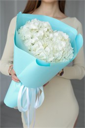 Букет из белых гортензий (3шт) 5014