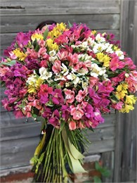 51 Альстромерия МИКС в упаковке 56778877777