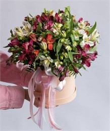 Альстромерия МИКС в шляпной коробке (17шт) 45665445664