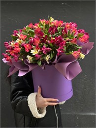 Альстромерия МИКС в шляпной коробке ( 35шт) 868766786