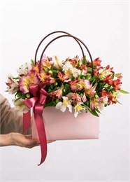 Альстромерия МИКС в сумочке Мастхэв ( 15шт) 55500550500