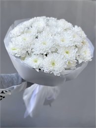 Белая пушистая хризантема в пленке (7шт) 090909090