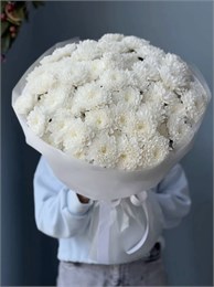 Белая пушистая хризантема в плене (15шт) 88877788787