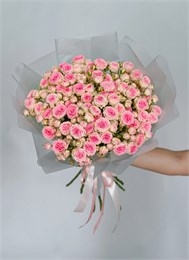 Кустовые розы Кейт в пленке (15шт) 9876564