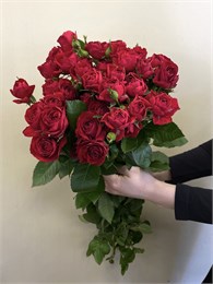 Кустовые розы Ред Баблз (пачка 10шт) 88856253