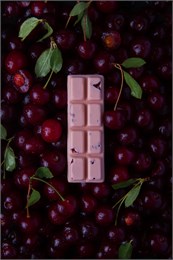 Шоколад "Вишневый с сублимированной вишней" 25 гр 994