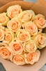 Персиковая роза  15 шт 149274 - фото 629848