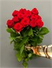 Красные розы 60см (пачка 10шт) 45468797 - фото 635203