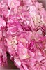 Букет из розовых гортензий (3шт) 5013 - фото 635490