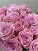 Кустовые розы Одилия (пачка 10шт) 999857746 - фото 635808