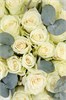 Белые розы Кения 40см с эвкалиптом (25шт) 89098332555 - фото 635884